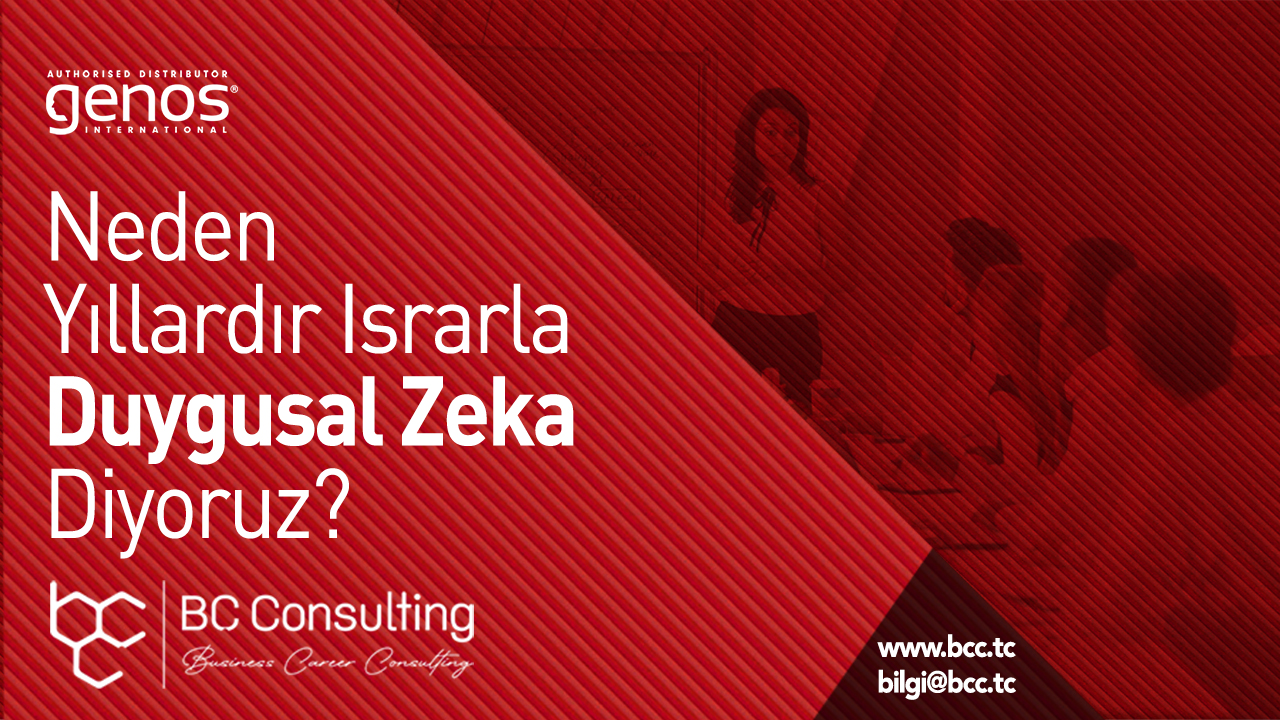 Neden Yıllardır Israrla Duygusal Zeka Diyoruz?